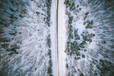 白天树间积雪道路航拍图